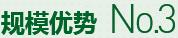 購(gòu)買(mǎi)蔬菜種子，鼎牌優(yōu)勢(shì)三