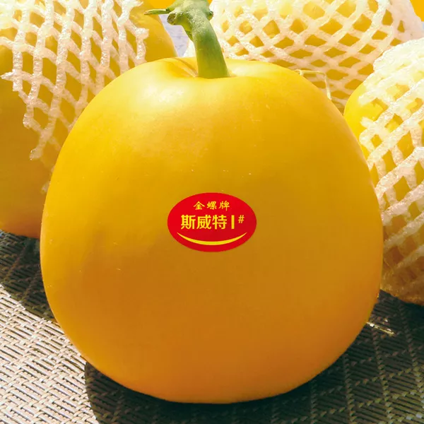 薄皮甜瓜，哪個品種最好呢？畝產(chǎn)高達(dá)10萬，附4種市場爆款品種