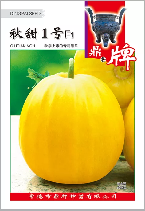 高溫季節(jié)種植甜瓜，什么品種最好？這個品種是秋季上市的專用品種