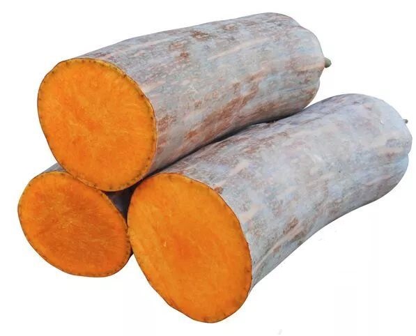 生吃都好吃南瓜新品種，沒有大肚子，肉質(zhì)更密致，農(nóng)戶試種下