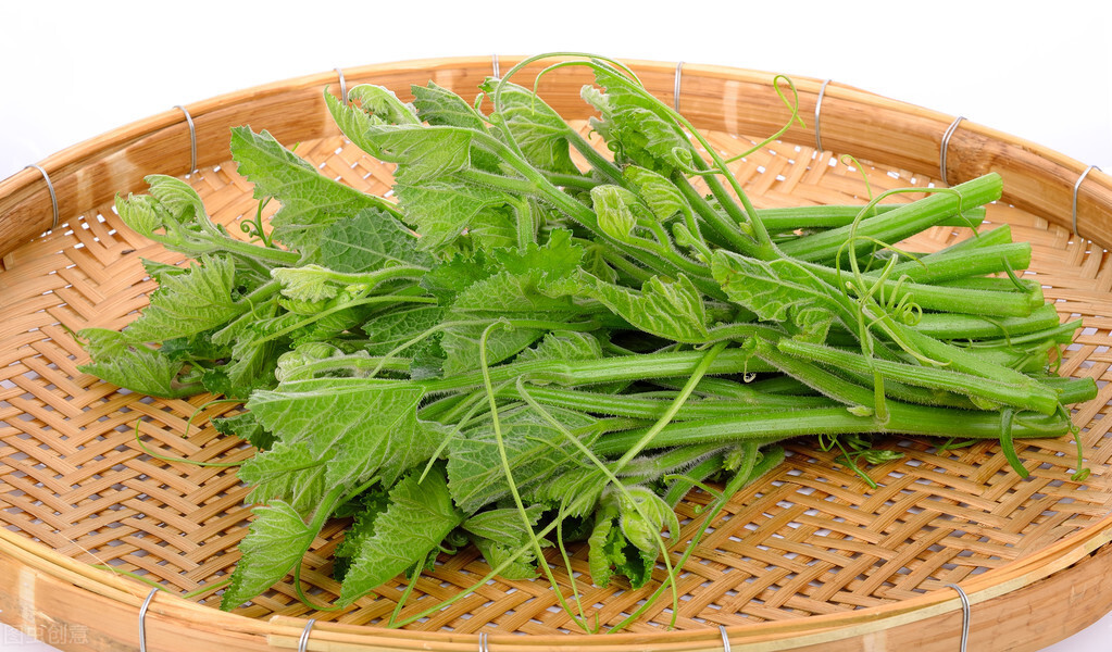 種這種綠葉菜，栽培輕松，畝產(chǎn)值過(guò)萬(wàn)元，菜農(nóng)表示很劃算
