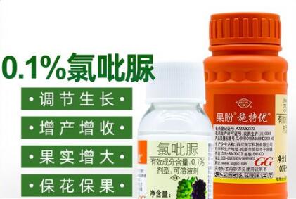 蔬菜種子栽培技術(shù)-<b>正確使用“氯吡脲”，瓜類增產(chǎn)30～50%</b>