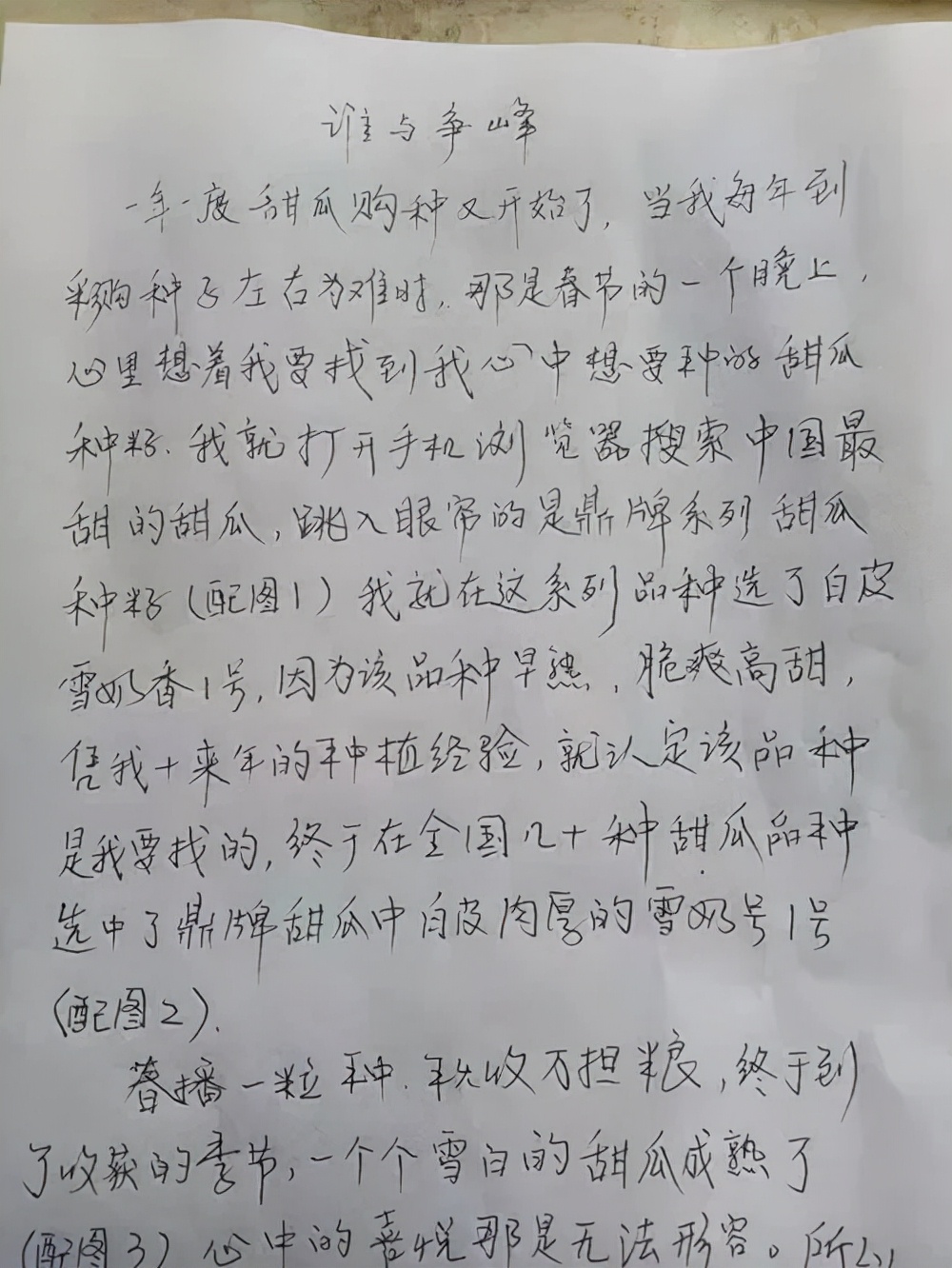 河南焦作的李向林今年種植甜瓜新品種，客戶直接拉貨走人