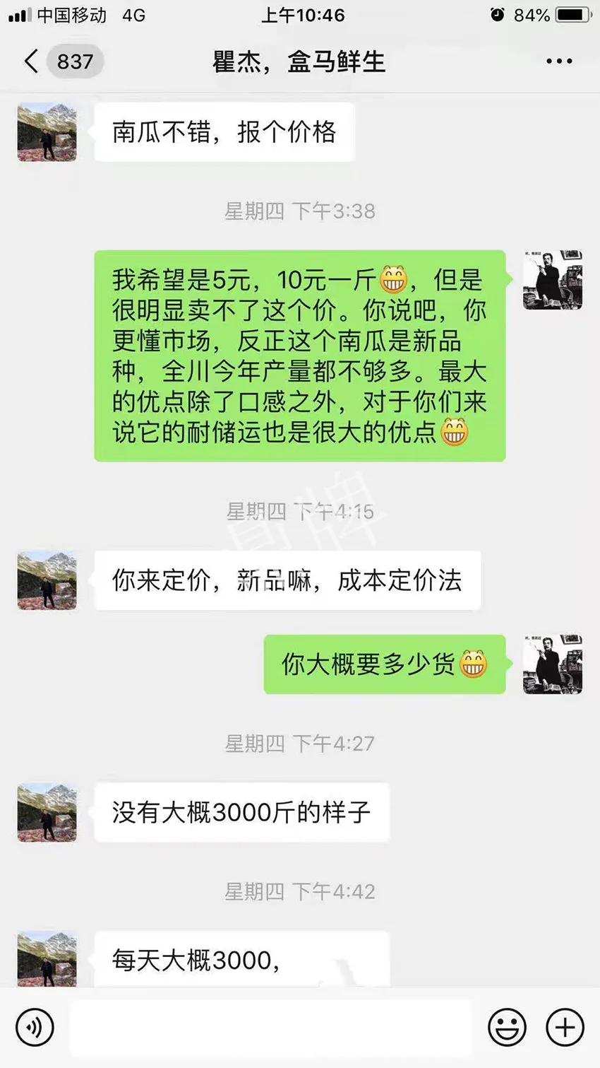 四川農(nóng)戶今年種“健美蜜本”南瓜產(chǎn)量高，品質(zhì)好，感覺巴適得很