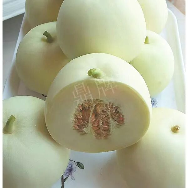 蔬菜種子種植戶種植心得-這個品種幫我留一些，4月份我們當(dāng)?shù)剡€要種一批