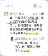 蔬菜種子種植戶客戶點(diǎn)評(píng)-“氣死白糖，甜過(guò)初戀”，您知道或體驗(yàn)過(guò)這句話嗎